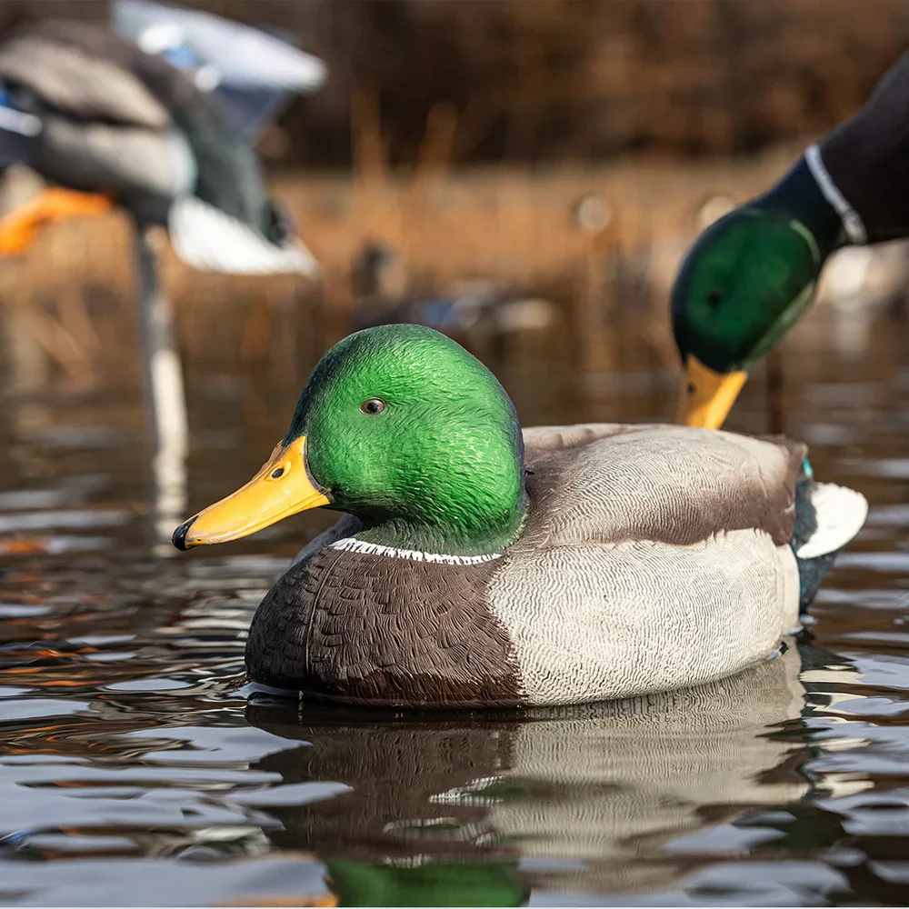 Avian-X Topflight Mallards Open Water Pack / 6 Floating Decoys - Image 3