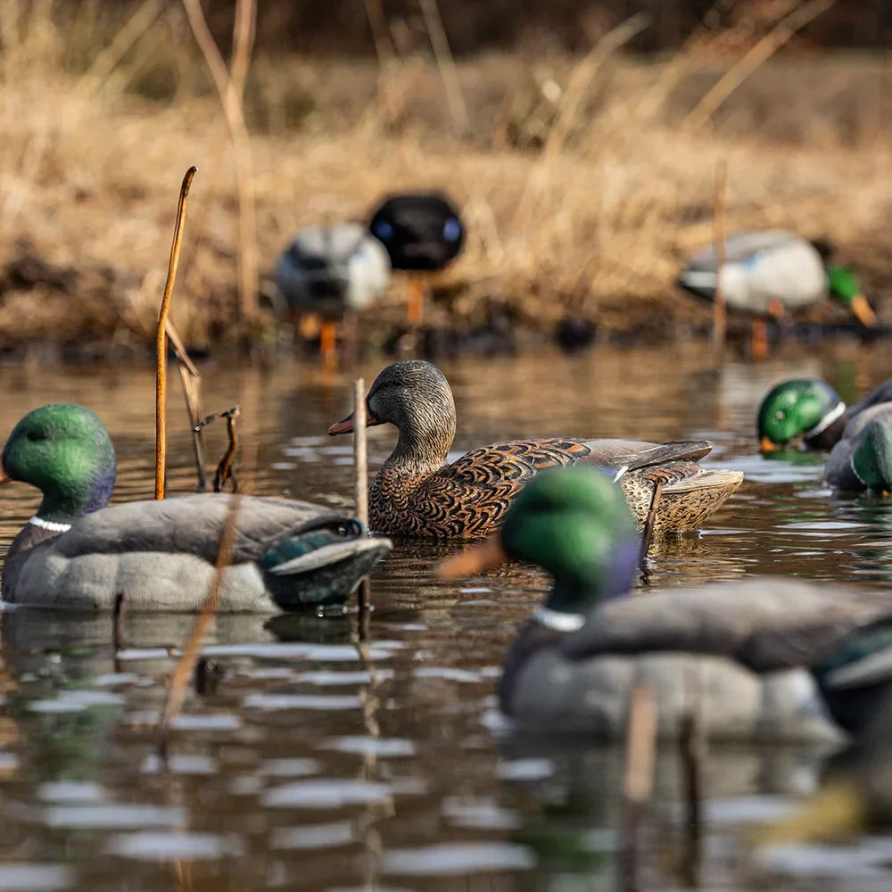 Avian-X Topflight Mallards Open Water Pack / 6 Floating Decoys - Image 4