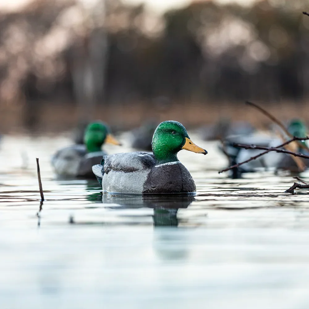 Avian-X Topflight Mallards Open Water Pack / 6 Floating Decoys - Image 8
