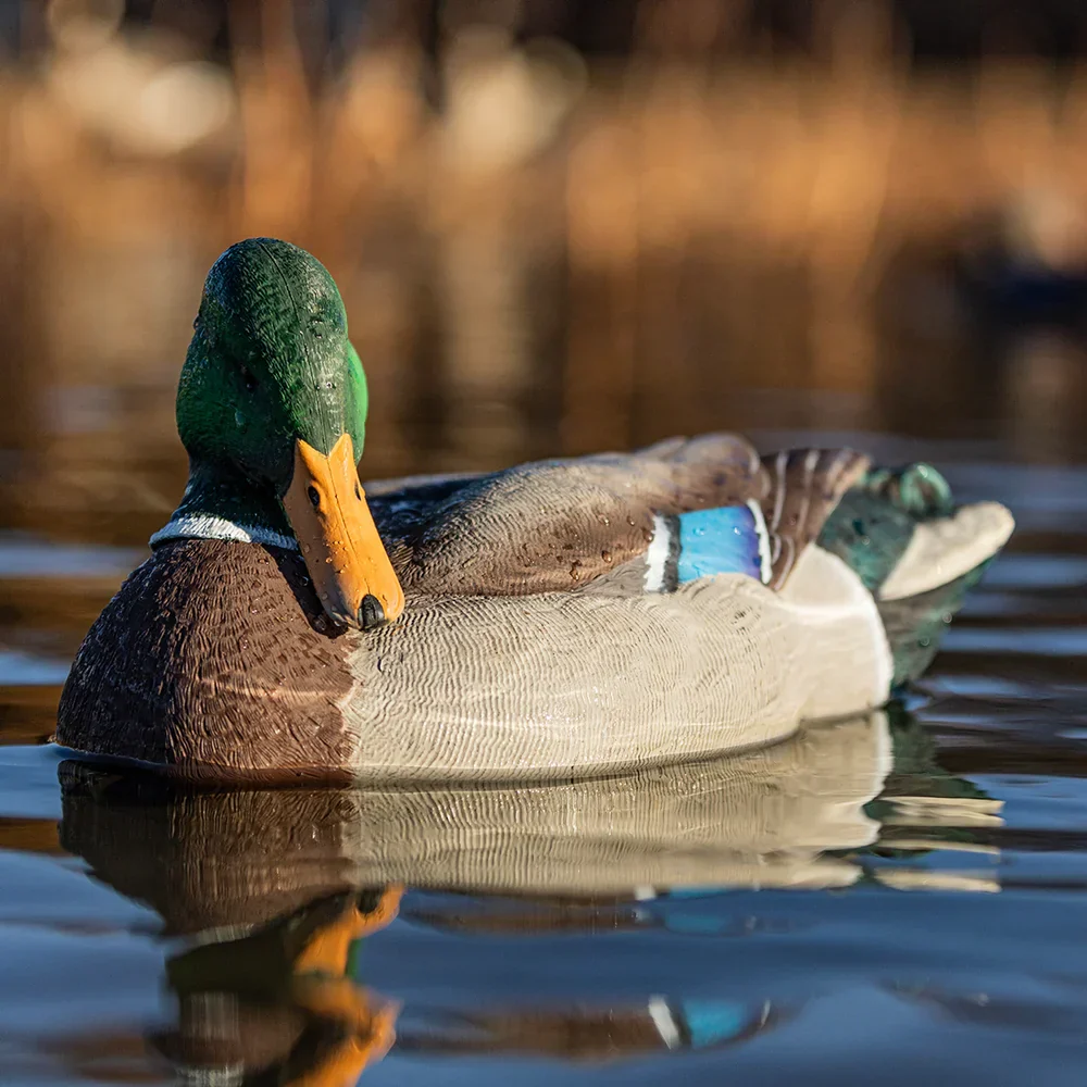 Avian-X Topflight Mallards Rester/Preener Pack (6 Floating Decoys) - Image 10