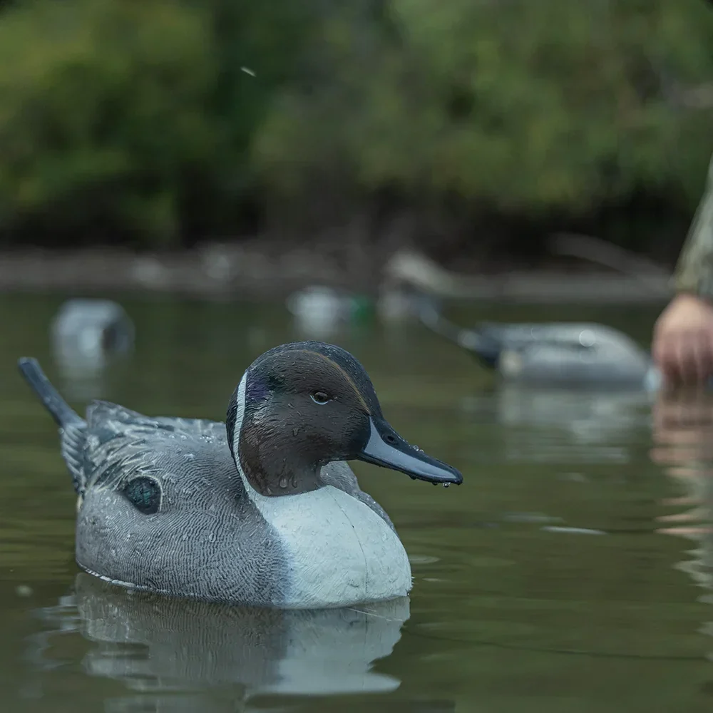 Avian-X Topflight Pintails / 6 Floating Decoys - Image 6