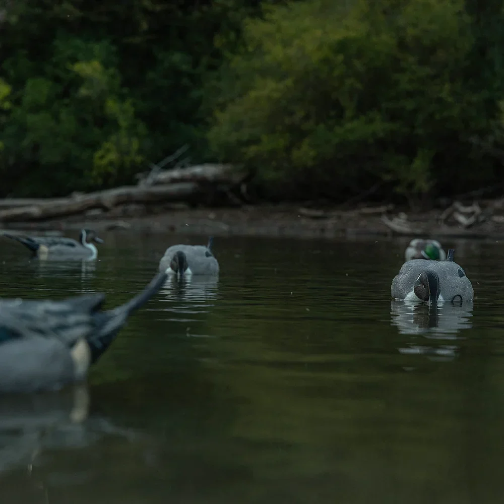 Avian-X Topflight Pintails / 6 Floating Decoys - Image 8