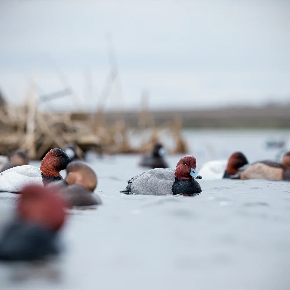 Avian-X Topflight Redheads / 6 Floating Decoys - Image 5