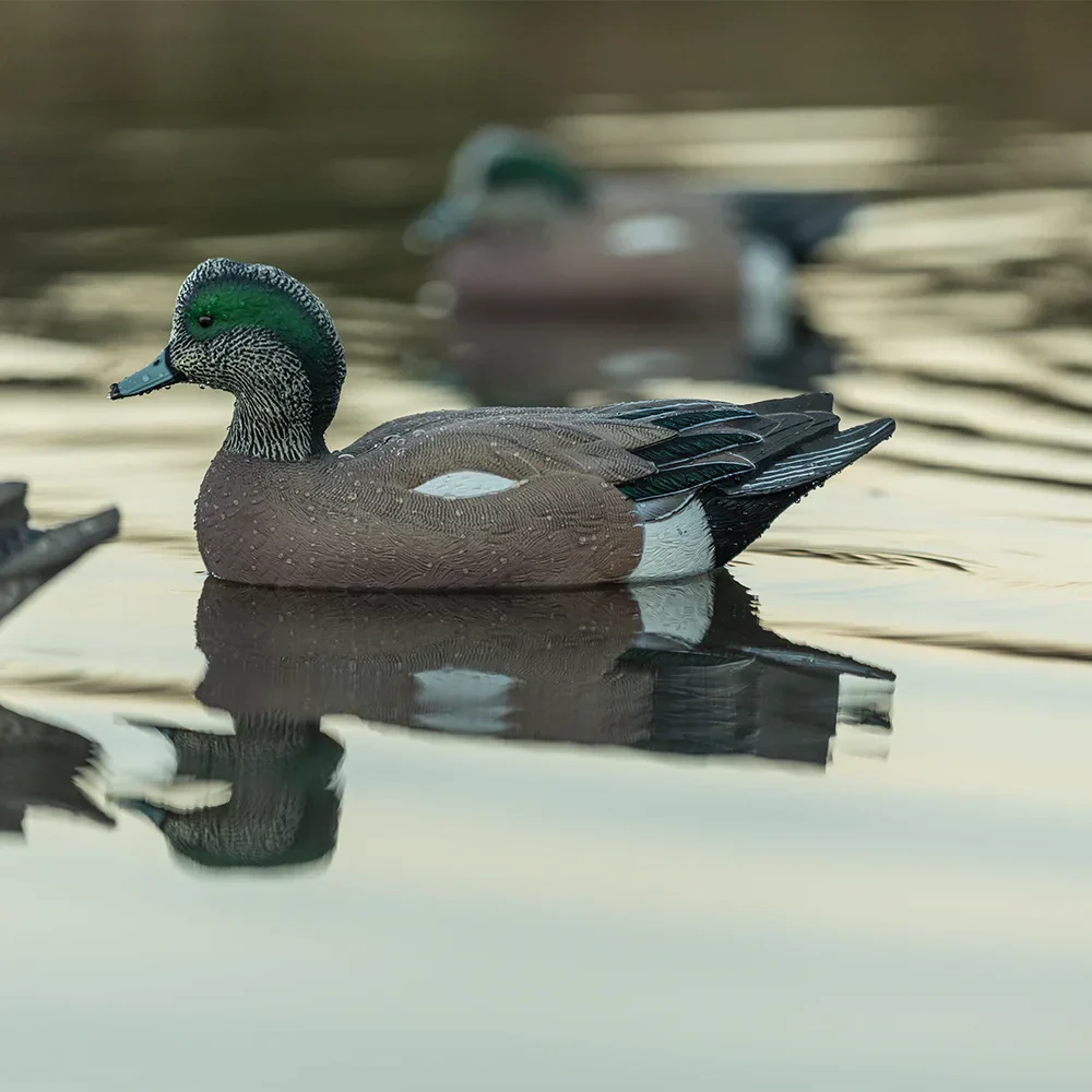 Avian-X Topflight Wigeon / 6 Floating Decoys - Image 6