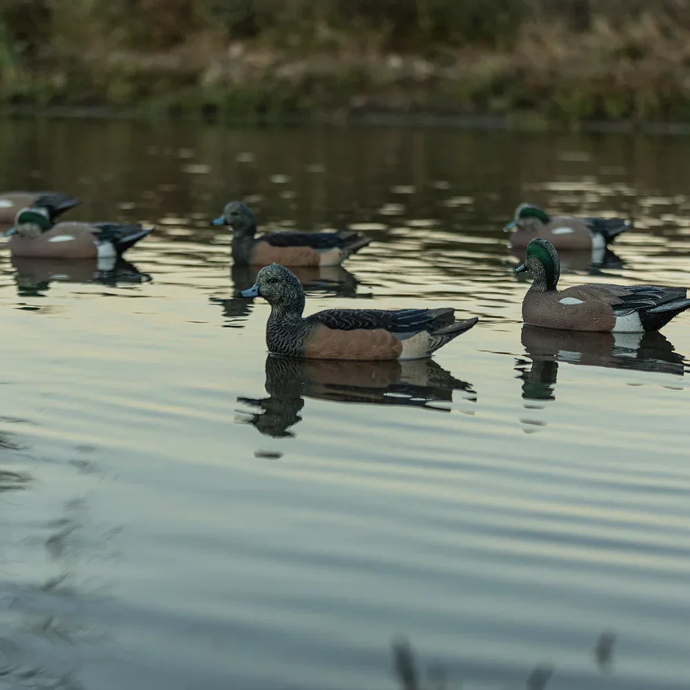 Avian-X Topflight Wigeon / 6 Floating Decoys - Image 7