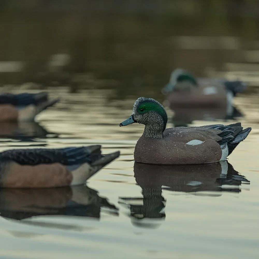 Avian-X Topflight Wigeon / 6 Floating Decoys - Image 8
