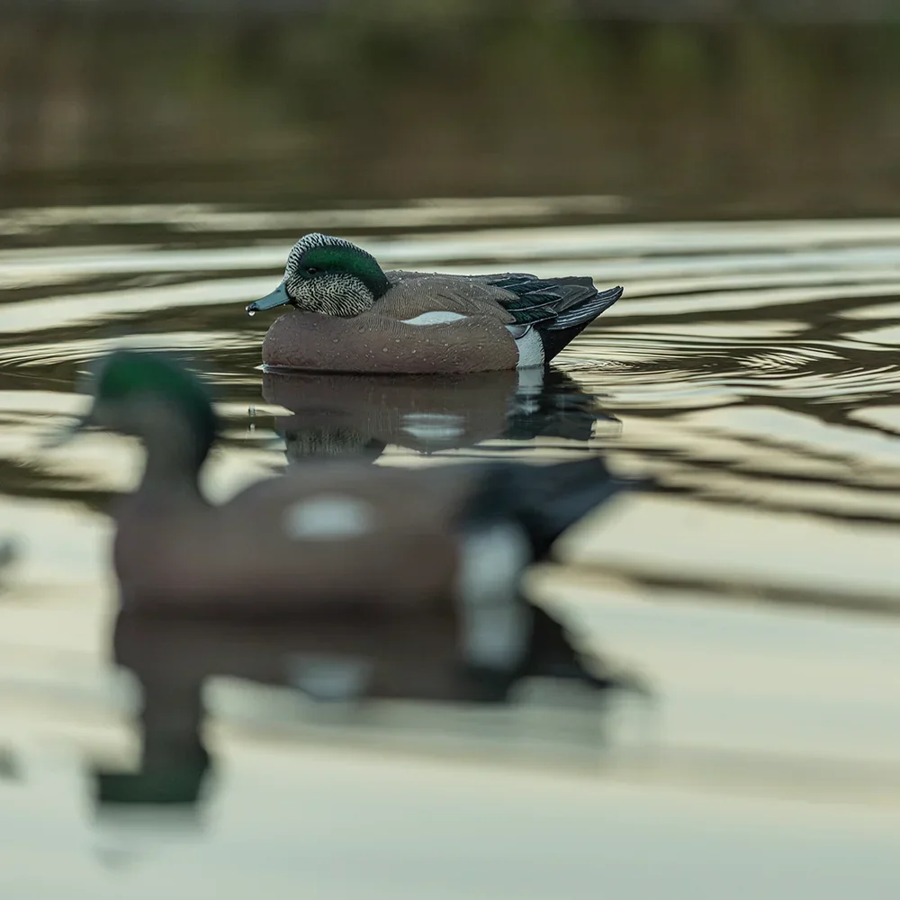 Avian-X Topflight Wigeon / 6 Floating Decoys - Image 9
