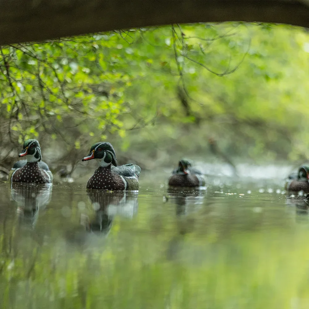 Avian-X Topflight Wood Ducks / 6 Floating Decoys - Image 5
