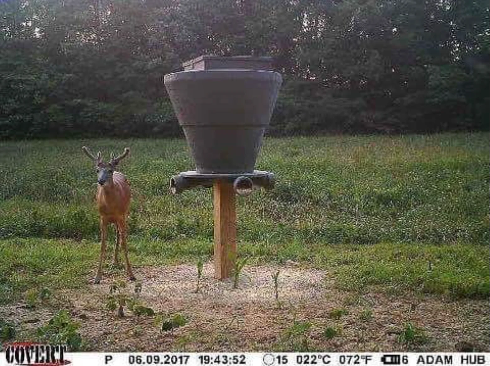 Banks Outdoors Feedbank 600 lb Gravity Deer Feeder - Image 10