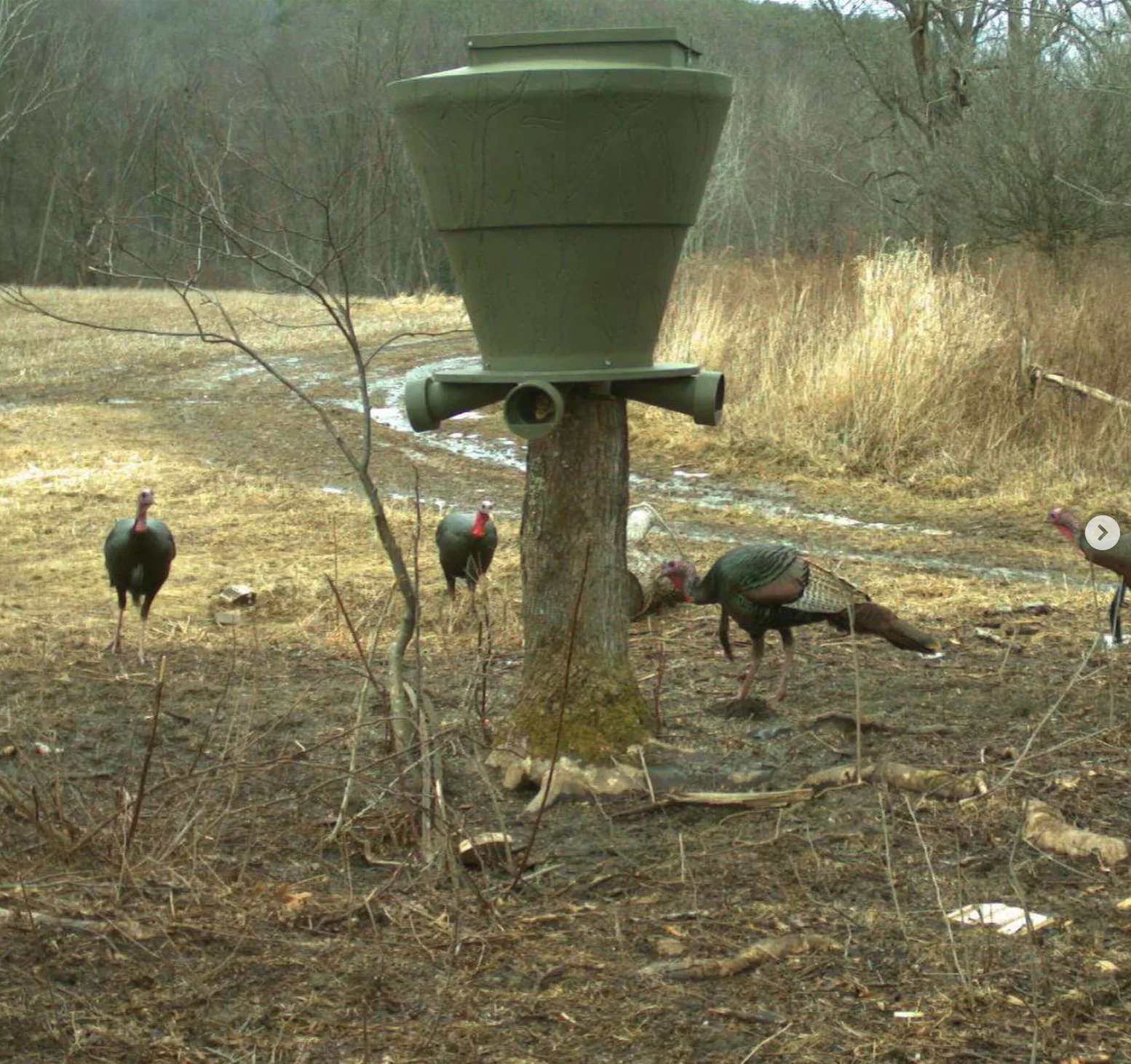 Banks Outdoors Feedbank 600 lb Gravity Deer Feeder - Image 6