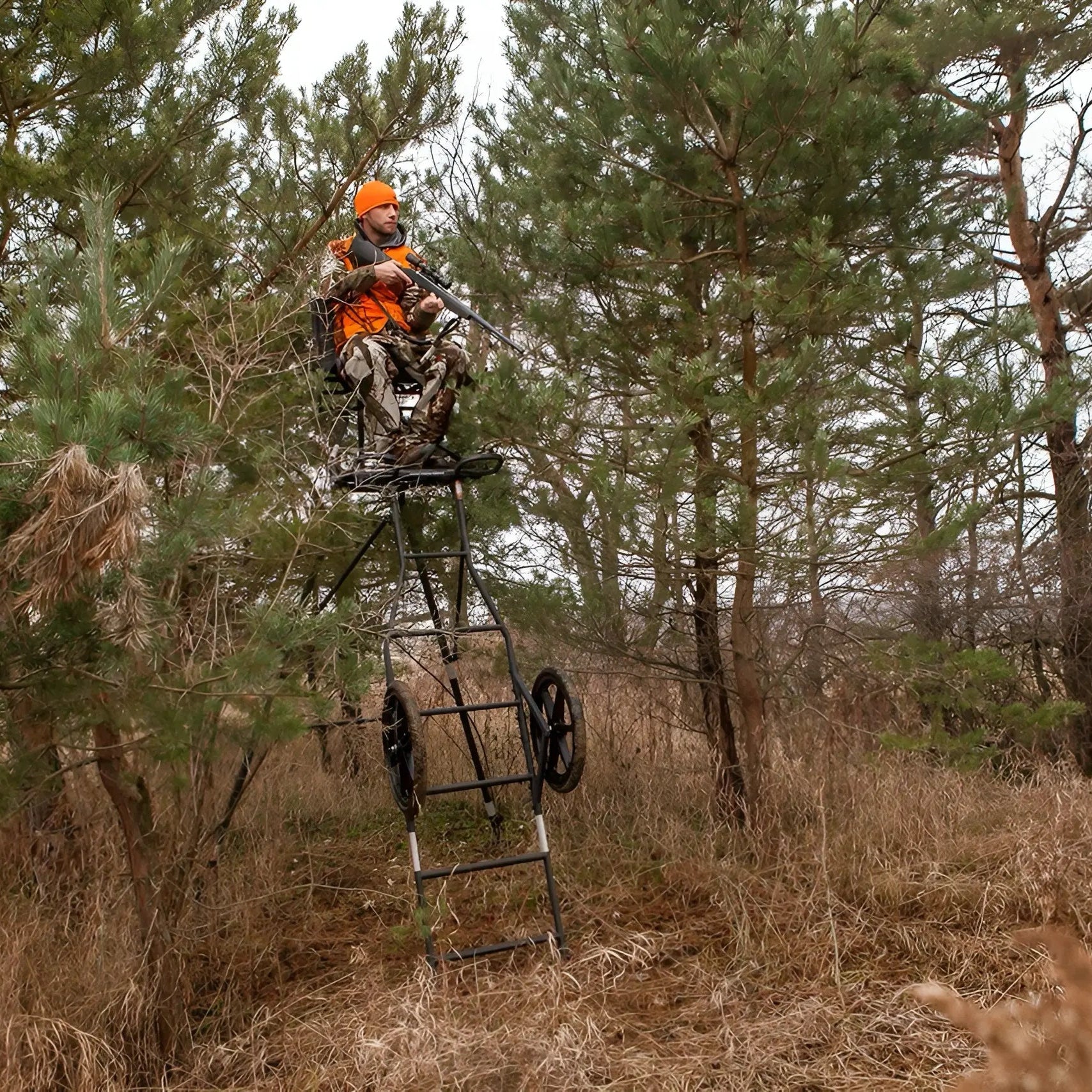 Hawk Transformer Hunt-Pod - Image 2