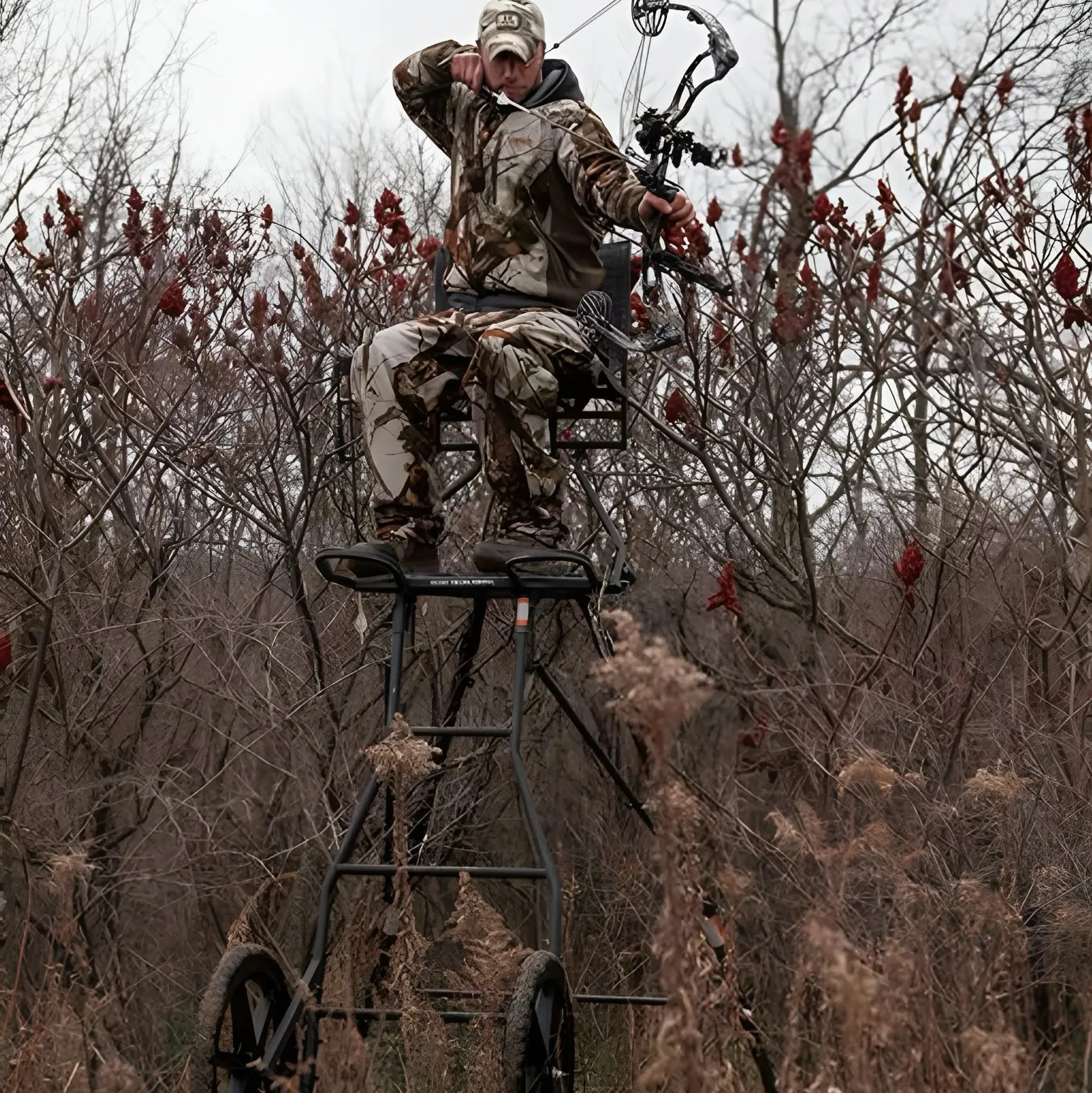 Hawk Transformer Hunt-Pod - Image 4