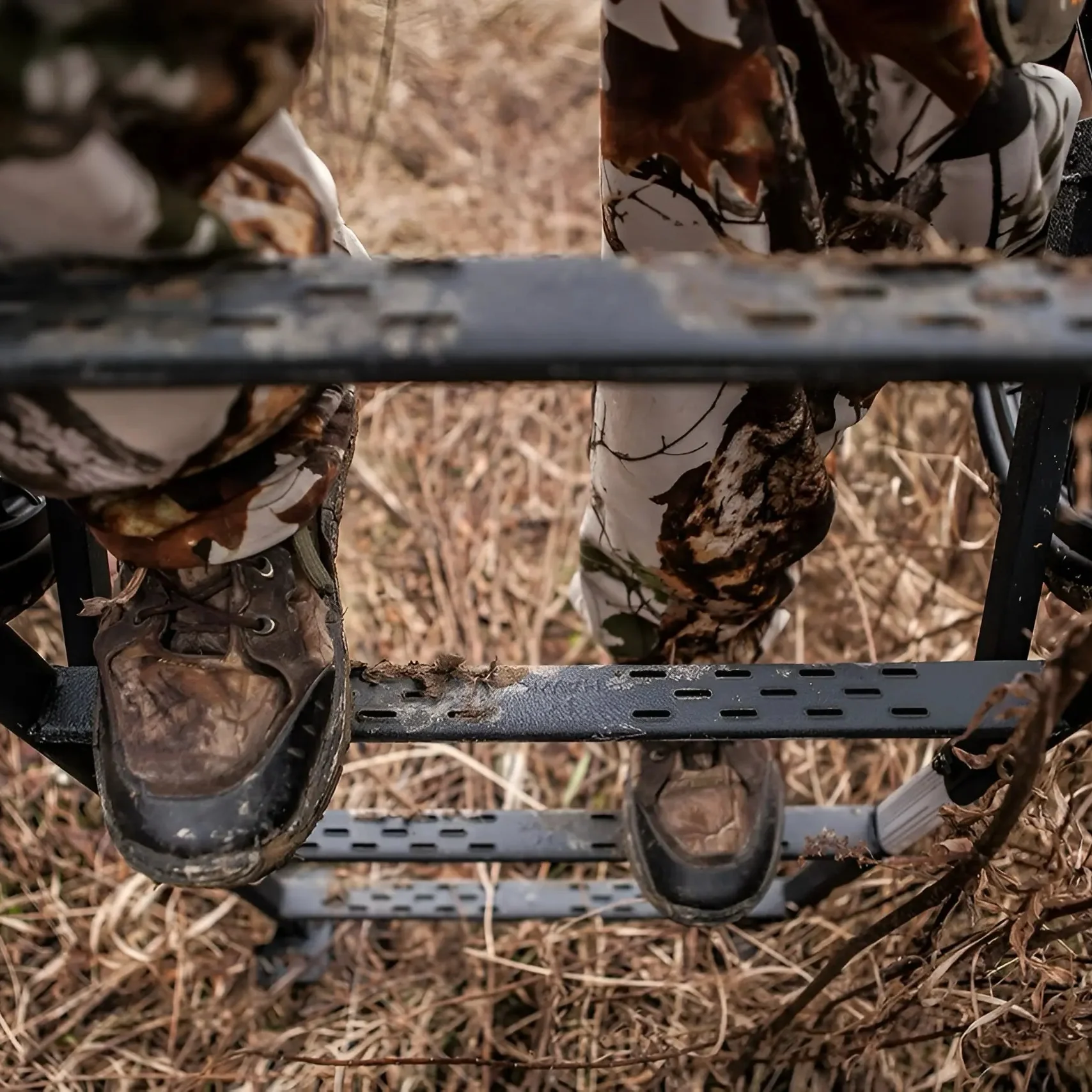 Hawk Transformer Hunt-Pod - Image 5