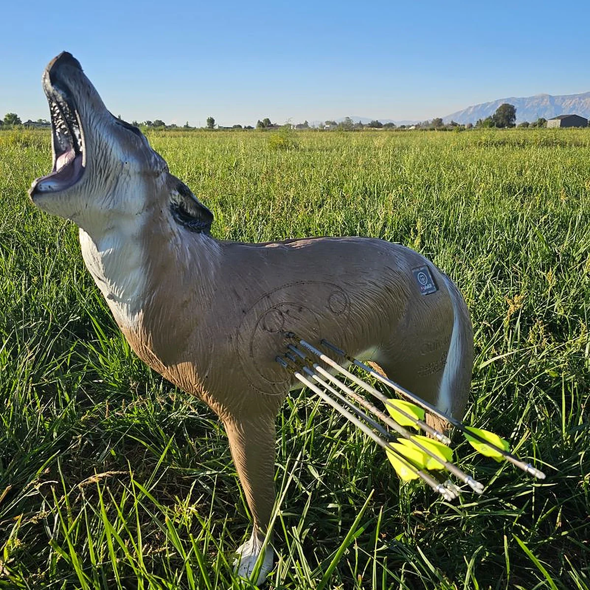 Delta McKenzie Howling Coyote QuivAR Enabled 3D Archery Target - Image 2