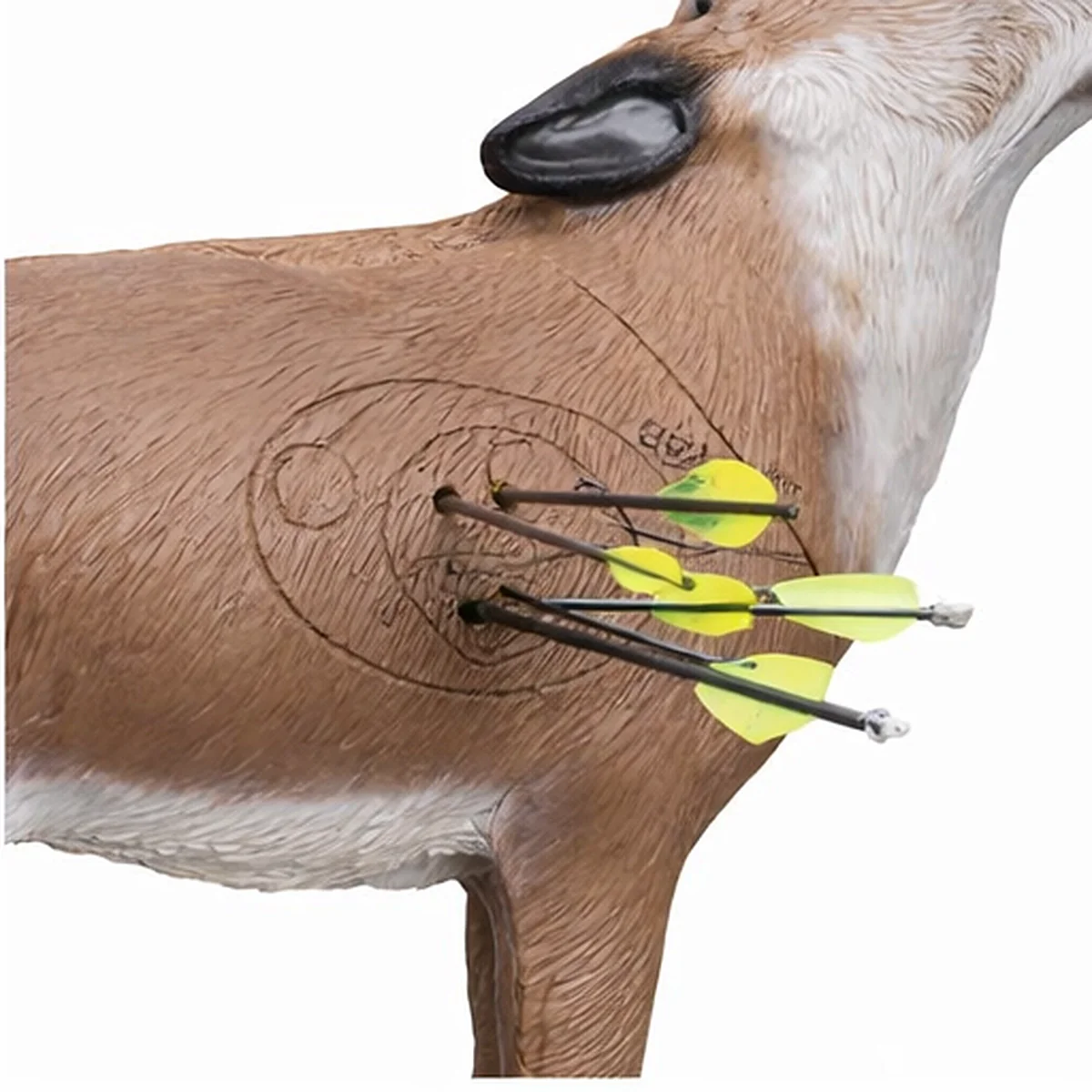Delta McKenzie Howling Coyote QuivAR Enabled 3D Archery Target - Image 3