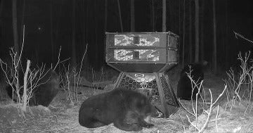 Orion Hunting - 1050 lb Capacity Stand And Fill Deer Feeder - Image 9