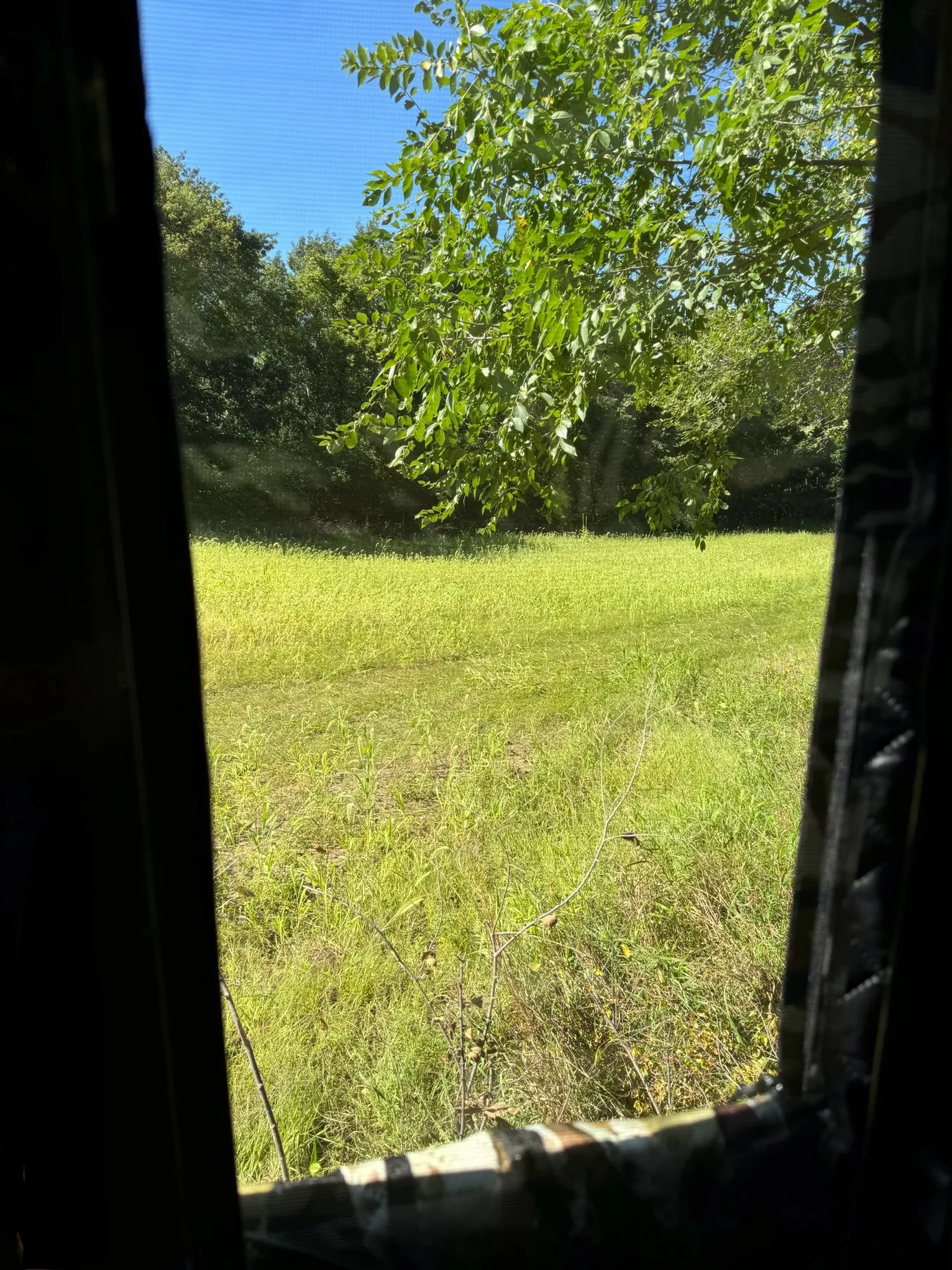 RAM Elite Camouflage Blind Cover - Image 7