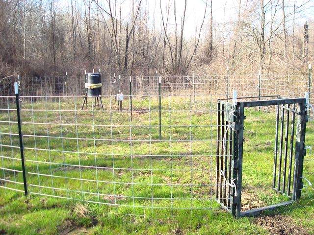 THE HOG SLAMMER - Saloon Style Hog Trap Doors by Sportsman's Condo - Image 2