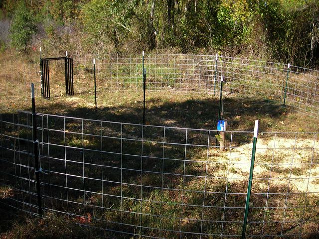 THE HOG SLAMMER - Saloon Style Hog Trap Doors by Sportsman's Condo - Image 4